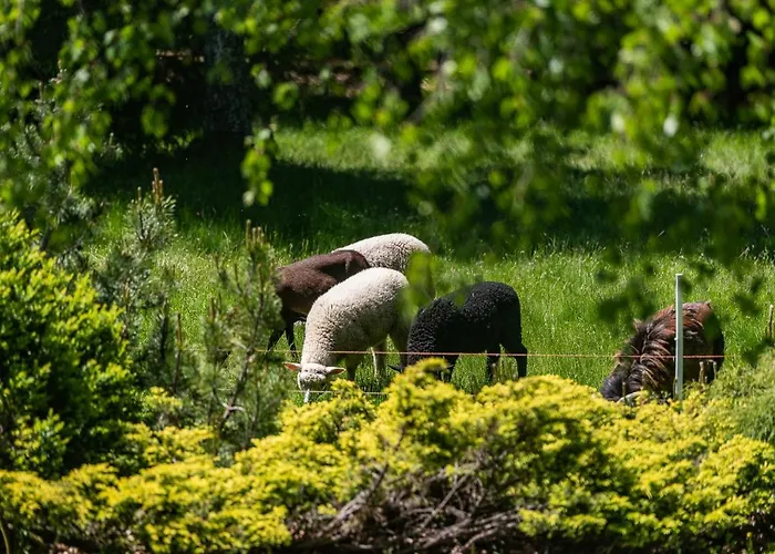 Prázdninový dům Jarzebata *
